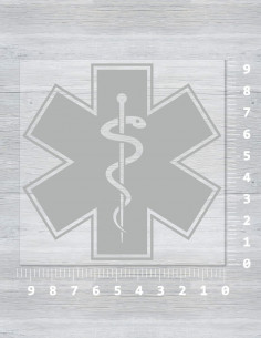 Hvězda života velká 2