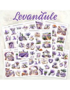 Levandule III 2